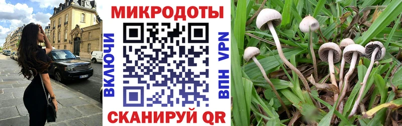Псилоцибиновые грибы мицелий наркота Симферополь